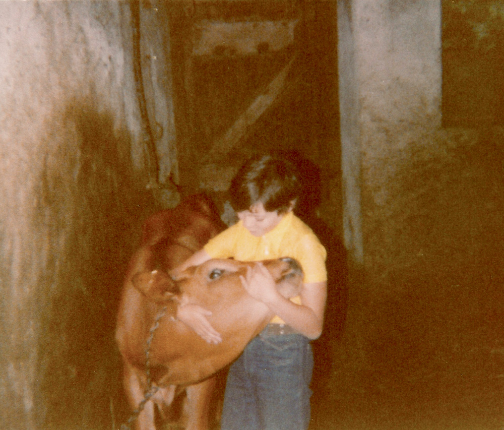 Isabelle AUNE et la vache « Mignonne » à Epersy