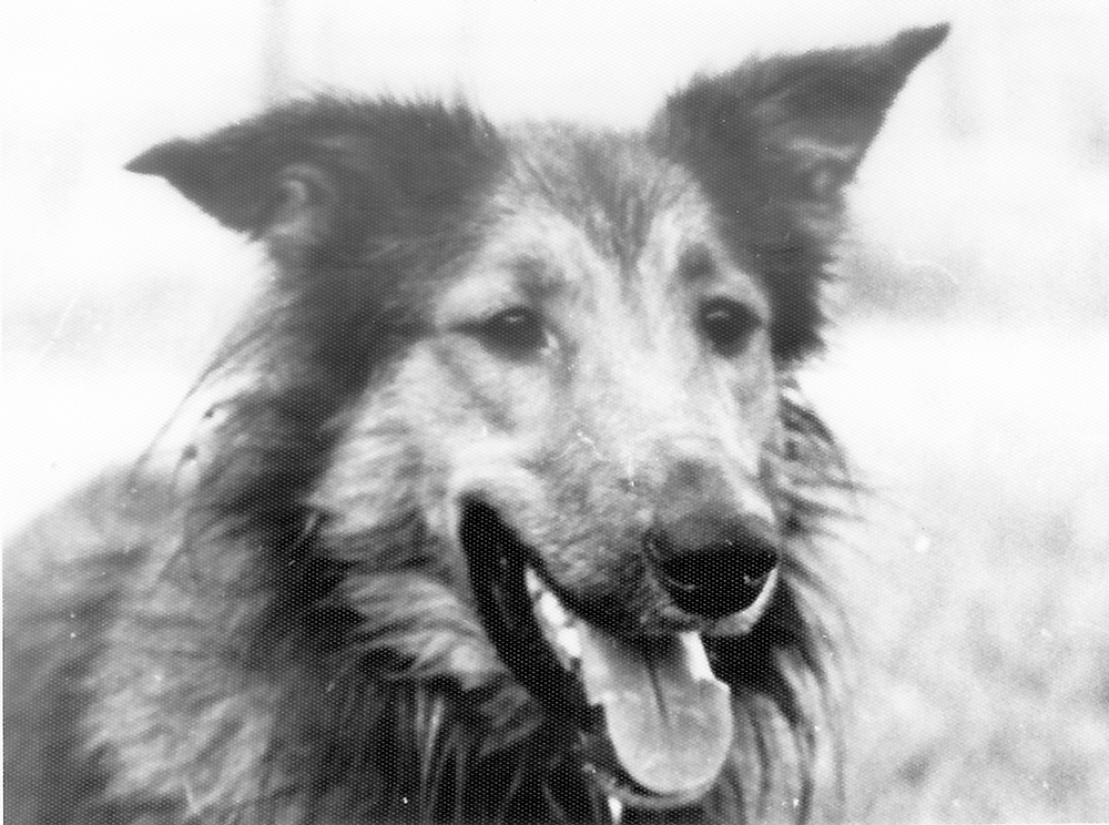 Tilou en 1983
